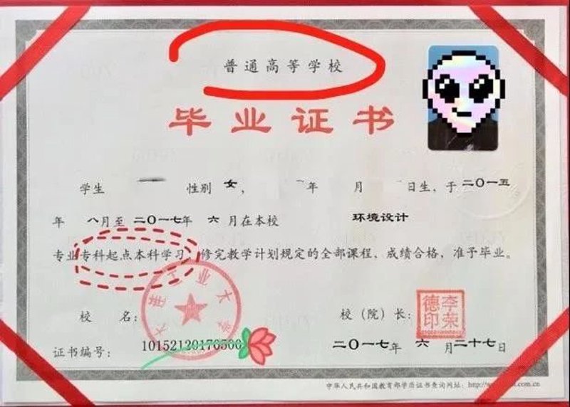 技能提升培训:解锁职场新高度