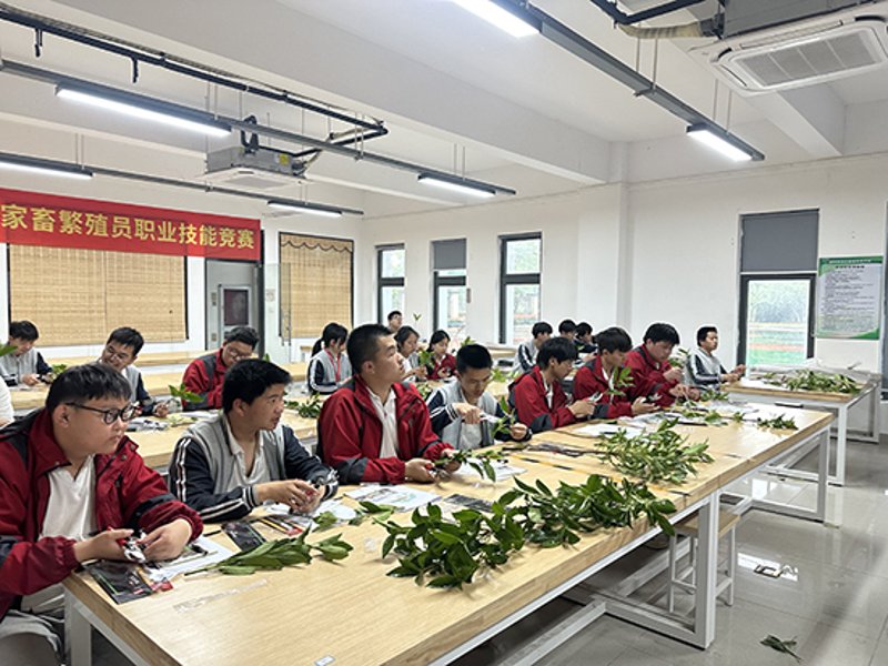 技能提升培训：选择适合自己的学习路径